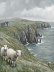 Coastal Sheep Art Print