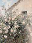 Rose Cottage Art Print