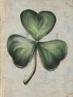 Shamrock Art Print