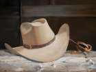 Hang Your Hat Art Print