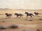Wild Horses Art Print