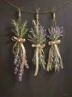 Dried Herbs Art Print