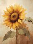 Sunnyside Up Art Print