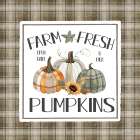 Farm Fresh Pumpkins Art Print