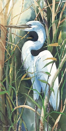 Providence Heron Art Print