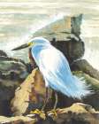 Rocky Perch Art Print