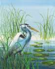 Among the Reeds Art Print