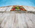 Quilts in the Sky Art Print