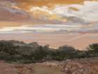 Muted Sunset Art Print