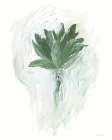 A Whole Bunch of Sage Art Print