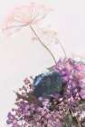 Pink Dandelion Art Print