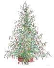 Oh Christmas Tree Art Print