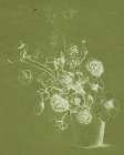Err on the Side of Simple Art Print