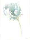 Blue Ruffle Art Print