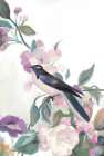 Little Rose and Bird Art Print