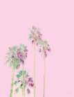 Pink Paradise Minimalist Print