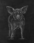 Farm to Walls Pig Art Print