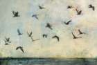 Birds in Flight Art Print