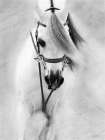 Softly Art Print