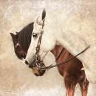 Horse Duo Art Print