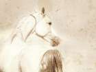 Turn Away Art Print