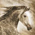 Ready to Race Art Print