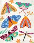 Colorful Moths Art Print