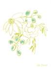 Honey Dew Art Print