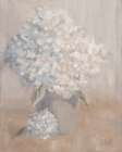 Hydrangeas in the Morning Light Art Print