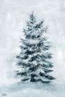 Winter Evergreen Art Print