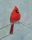 Winter Cardinal I Art Deco Print