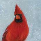 Winter Cardinal II Art Deco Print