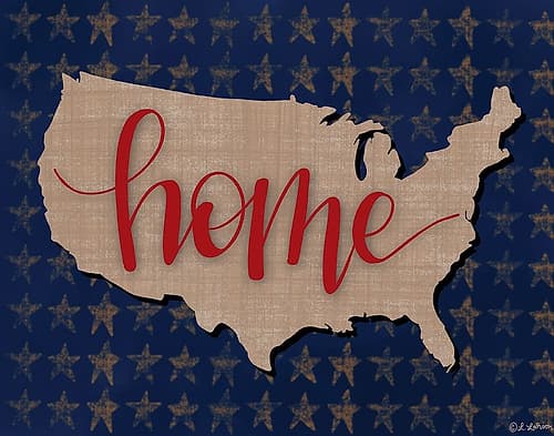 USA Home Art Print