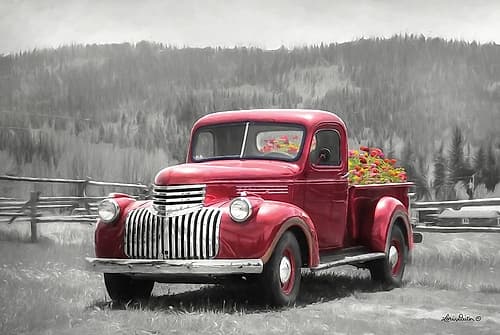American Made with Flowers Art Print