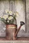 The Friendliest Flowers Art Print