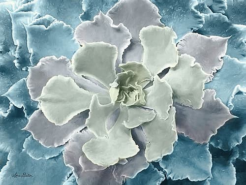 Multi-color Succulent Art Print