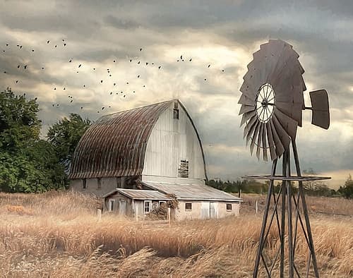 Henderson Bay Farm Art Print