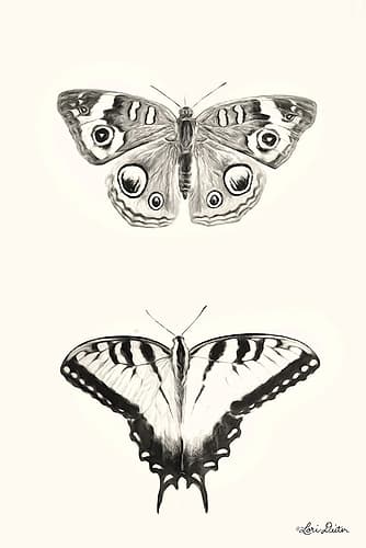 Butterflies Art Print