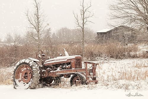 Snow Covered Nature Print