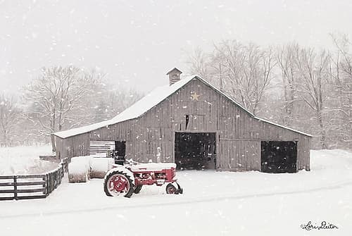 Tractor for Sale Art Print