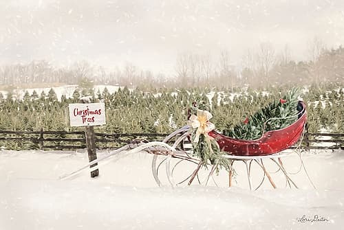 Red Sleigh at Tree Farm Art Print