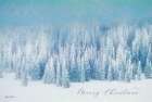 Snowy Turquoise Forest Art Print