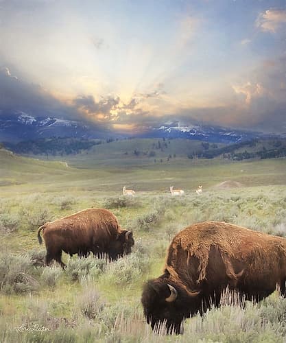 Great American West Art Print