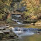 Autumn at Stony Brook Art Print