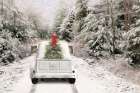 Picking Up the Tree Art Print