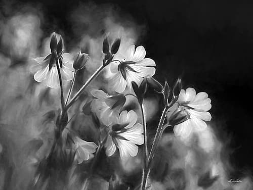 Black and White Flowers Art Print