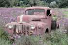 Country Girls Drive Trucks Art Print