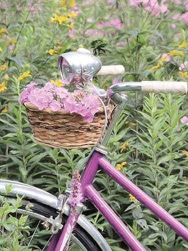 Pink Garden Bike Art Print