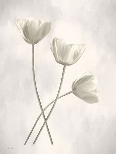 Bleached Tulips III Art Print
