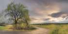 Willow Lane Art Print